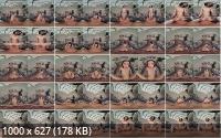 VRPFilms - Anal Invasion : Madison Queen (UltraHD/4K/1920p/3.82 GB)