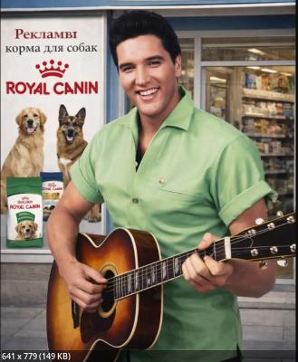 ��� �������� - ����������� ������ ! ( ���. ����� 2.)