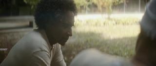 Золотой саркофаг (2025)