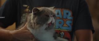 Сико-Сико (2025)