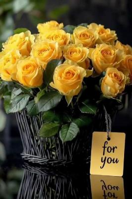 ��� - ������� ��� ������� ����� ���. ( ����� 2.)