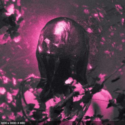 Pinknoise - Flesh And Bone (EP) (2026)