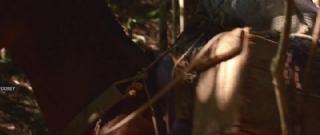 Волшебная страна (Пасаргада) (2024)