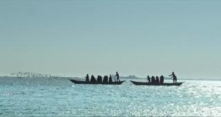 Любимая ученица Вивальди (2025)