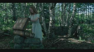 ����� / From (4 �����/2026/WEB-DL/WEB-DLRip)