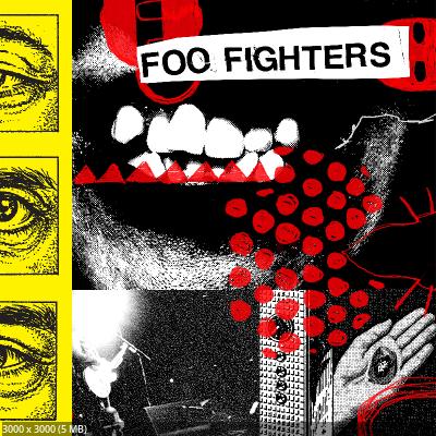 Foo Fighters - Your Favorite Toy (2026)