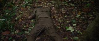 Таинственный лес (2026)