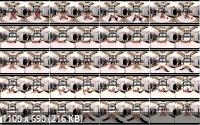 TransexVR - Renata Farias (UltraHD/4K/1920p/2.04 GB)