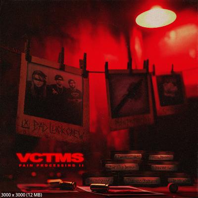 VCTMS - Pain Processing II (2026)