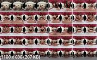 TranzVR - Isabelly Ferreira, Nathalia Castro  Upper Class Sado Ass (2K/1600p/1.99 GB)