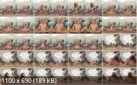 xSinsVR/SinsVR - Fuck My Ass : Alexis Crystal (UltraHD/4K/1920p/2.62 GB)