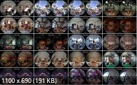 Manny S/SexLikeReal - Balls licking VR Compilation (UltraHD/4K/2900p/4.66 GB)