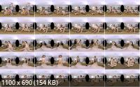 TSVirtualLovers - Redvex, Nikki Montero , Lady Dee s Hangout (SD/960p/2.38 GB)