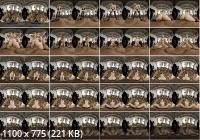 VirtualRealPorn - The Succubus : Kylie Nymphette (FullHD/1080p/3.29 GB)