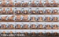 perVRt/SexLikeReal - Curvy As Fuck: Sharon White (UltraHD/4K/3072p/3.26 GB)