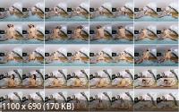 VirtualRealPorn - Alicia Trece: Sweaty Workout (2K/1600p/3.13 GB)