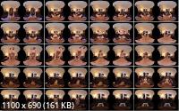 NaughtyAmericaVR - PSE Alexis Fawx (2K/1440p/2.96 GB)