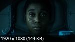 Directive 8020 (2026/RUS/Portable/PC)