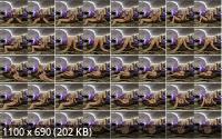 Squeeze VR/SexLikeReal - Eden Ivy Horny (UltraHD/8K/3840p/2.02 GB)
