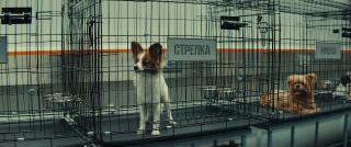 ��� ������ - ��������� (2025/WEB-DL/WEB-DLRip)