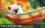 Mixturka - Wallpapers Collection 299
