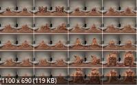 VRedging/SexLikeReal - Hardcore Directors Cut One Minute Of Fucking Ends In A Huge Cumblast : Briana Bounce (UltraHD/4K/2880p/4.74 GB)