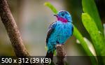 Mixturka - Wallpapers Collection 300