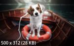 Best Wallpapers Mix Collection 74