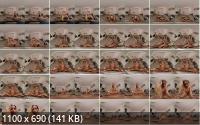 VirtualRealPorn - Lucky Bee Snacks With a Friend (UltraHD/8K/3840p/4.81 GB)