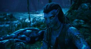 ������: ����� � ����� / Avatar: Fire and Ash (2025/BDRip/HDRip)