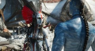������: ����� � ����� / Avatar: Fire and Ash (2025/BDRip/HDRip)