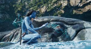 ������: ����� � ����� / Avatar: Fire and Ash (2025/BDRip/HDRip)