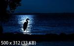 Mixturka - Wallpapers Collection 302