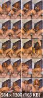 Onlyfans - Mini Stallion  4Fd (SD/1920p/586 MB)