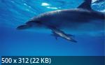Best Wallpapers Mix Collection 76