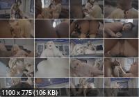 Onlyfans - Maria Bose 6vt3rv9n (FullHD/1080p/1.01 GB)