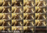 Onlyfans - Hot Sensual Threesome Fucking Two MILFs, Cum Licking From Pussy Desire69xx (FullHD/1080p/501 MB)