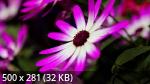 Mixturka - Wallpapers Collection 306