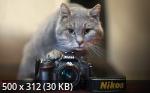 Best Mixture Wallpapers Collection 106