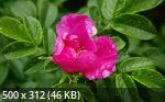 Best Wallpapers Mix Collection 79