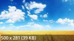 Mixturka - Wallpapers Collection 308