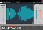 ApulSoft - SplitS v 1.1.2 VST3, AAX x64 [R2R] - деэссер