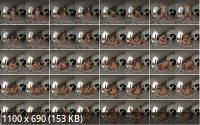 VRSolos/SexLikeReal - Spanish Babe Plays With Fox Tail Butt Plug : Agatha Vega (UltraHD/4K/2880p/3.09 GB)