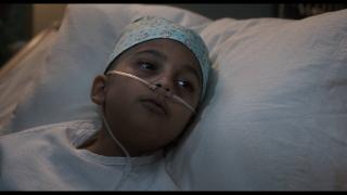 ����� / Michael (2026/WEB-DL/WEB-DLRip)