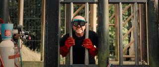 �����������. �������� ����� / Marsupilami (2025/WEB-DL/WEB-DLRip)
