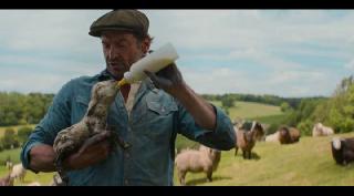 ��������� ����� ������ / The Sheep Detectives (2026/WEB-DL/WEB-DLRip)