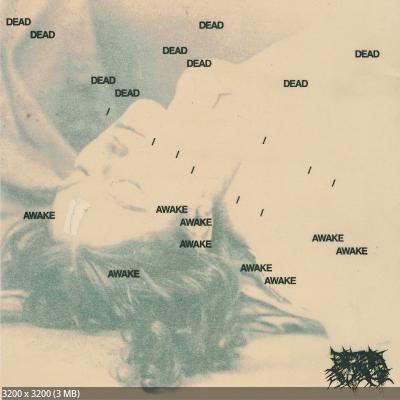 Dead/Awake - Melancholia II (2026)