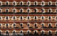 TranzVR - Alice Marques  Whip It (2K/1600p/1.41 GB)