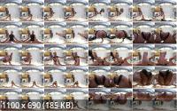 JimmyDraws/SexLikeReal - Face Sitting Domme April Paisley (UltraHD/4K/2880p/4.59 GB)
