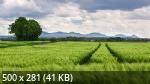 Best Mixture Wallpapers Collection 113